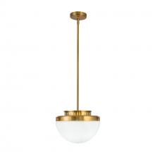 Artcraft AC12010BR - Dahlia 1 Light Pendant 12", Brushed Brass