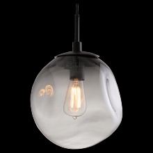 Hammerton LAB0062-01-CS-A-C01-E2 - Aster Pendant-Incandescent