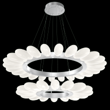 Hammerton CHB0071-2T-CS-WL-CA1-L3 - Fiori Two-Tier Radial Ring