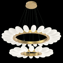 Hammerton CHB0071-2T-GB-WL-CA1-L3 - Fiori Two-Tier Radial Ring