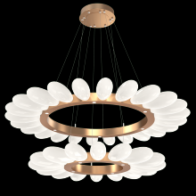 Hammerton CHB0071-2T-NB-WL-CA1-L3 - Fiori Two-Tier Radial Ring