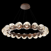 Hammerton CHB0095-48-BB-FA-CA1-L1 - Luna Radial Ring Chandelier