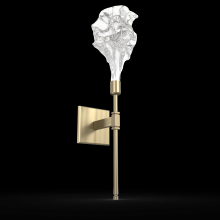 Hammerton IDB0059-21-HB-BC-L3 - Blossom Belvedere Sconce