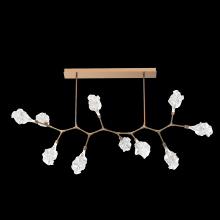 Hammerton PLB0059-BC-NB-BC-001-L3 - Blossom 10pc Branch-Novel Brass-Blossom Clear Blown Glass