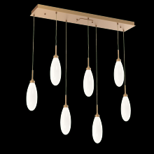 Hammerton PLB0071-07-NB-WL-C01-L3 - Fiori Linear 7pc Multi-Pendant