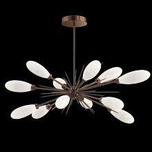 Hammerton PLB0071-0A-RB-WL-001-L3 - Fiori Oval Starburst Chandelier 50"