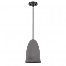 Worldwide Lighting Corp E80012-001 - Remington 1-Light Black Finish Concrete Grey Shade Pendant 8“D X 12"H