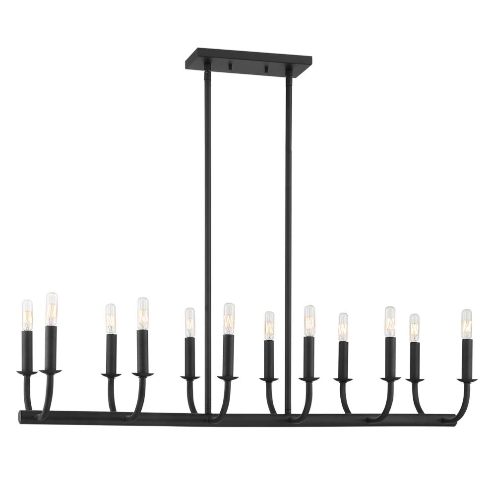 Bailey 12 Light Matte Black Linear Chandelier