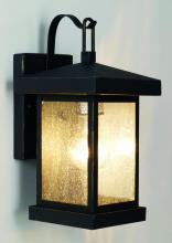 Trans Globe 45640 WB - Santa Cruz 12" Wall Lantern