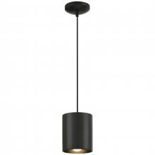 Access 29006-MBL-C - Pendant